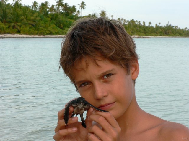 47- Bastien et le bebe tortue 